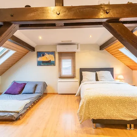 Le Repos Du Rhin - 20min De Mulhouse Petit-Landau