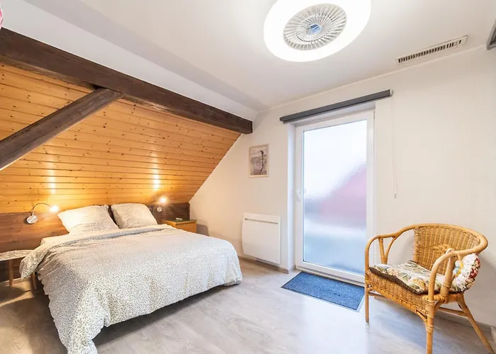 Le Repos Du Rhin - 20min De Mulhouse * Niffer