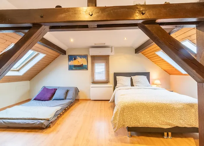 Le Repos Du Rhin - 20min De Mulhouse Petit-Landau